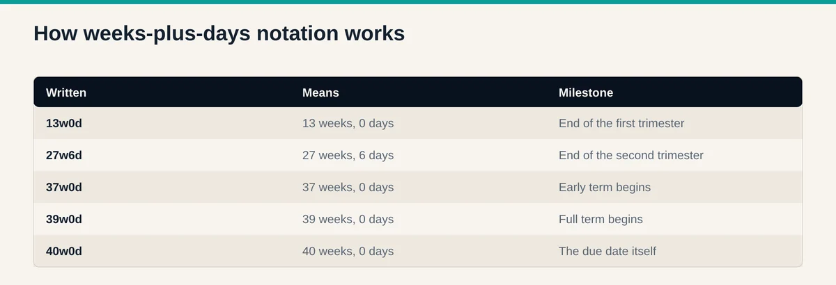 Table explaining weeks plus days notation with trimester boundaries and the early term, full term, and due date milestones