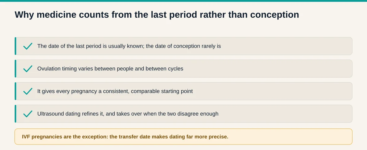 Reasons obstetrics counts from the last menstrual period rather than conception, including that the period date is usually known and ovulation timing varies