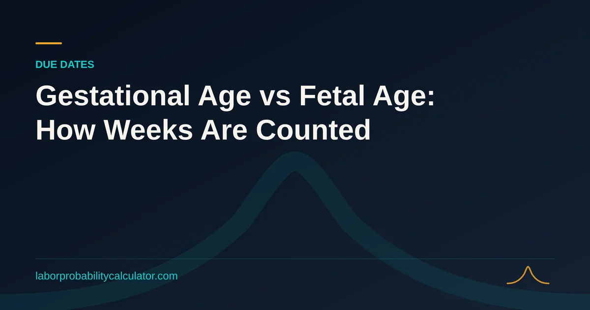 Illustration for Gestational Age vs Fetal Age: How Weeks Are Counted