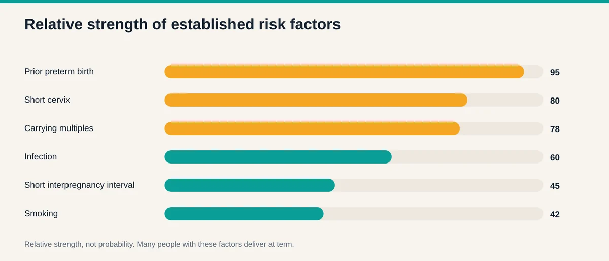 Chart of the relative strength of established preterm birth risk factors, with prior preterm birth and short cervix as the strongest