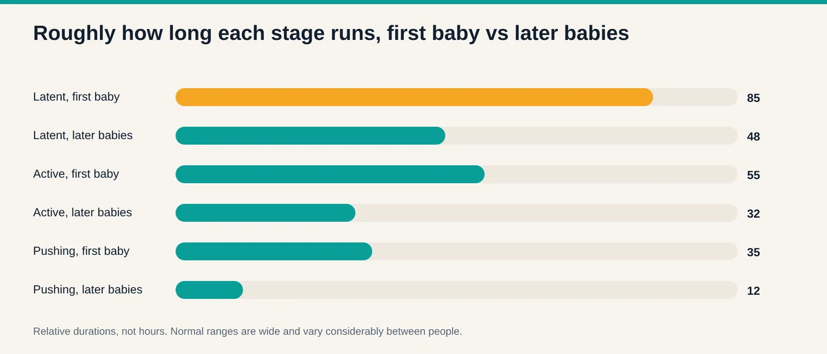 Chart comparing relative duration of the latent, active, and pushing stages for first babies against later babies