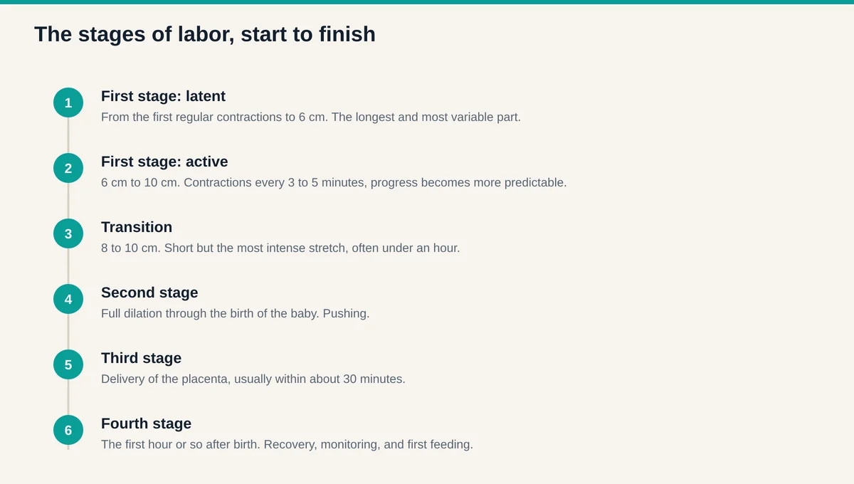 The stages of labor from latent phase through active labor, transition, second stage pushing, third stage placenta delivery, and the fourth stage recovery hour