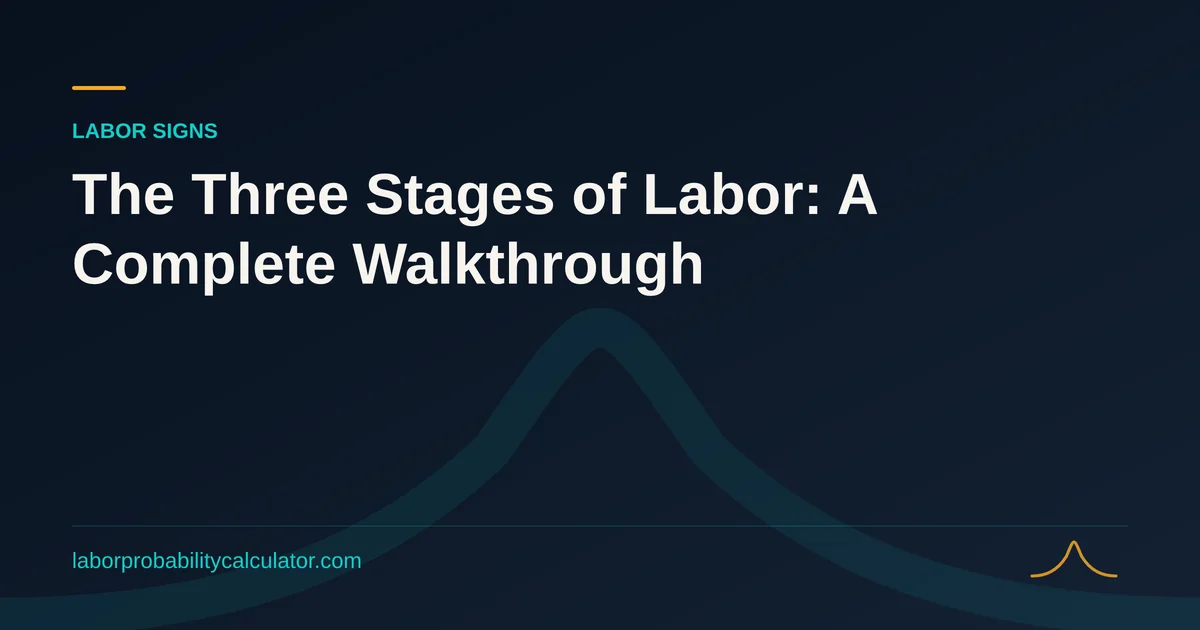 Illustration for The Three Stages of Labor: A Complete Walkthrough